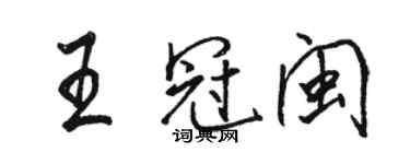 駱恆光王冠閩行書個性簽名怎么寫