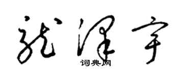 梁錦英龍澤宇草書個性簽名怎么寫