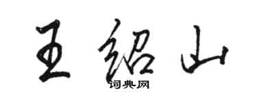 駱恆光王紹山行書個性簽名怎么寫