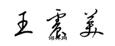 梁錦英王震美草書個性簽名怎么寫