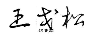 曾慶福王戈松草書個性簽名怎么寫