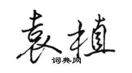 駱恆光袁植行書個性簽名怎么寫