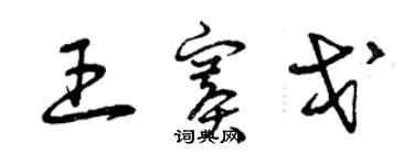 曾慶福王賽戈草書個性簽名怎么寫