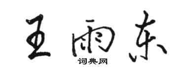 駱恆光王雨東行書個性簽名怎么寫