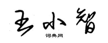 朱錫榮王小智草書個性簽名怎么寫