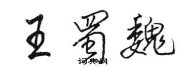 駱恆光王蜀魏行書個性簽名怎么寫