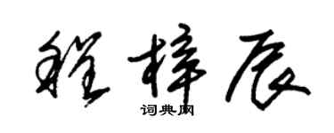 朱錫榮程梓辰草書個性簽名怎么寫