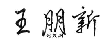 駱恆光王朋新行書個性簽名怎么寫