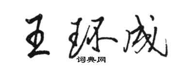 駱恆光王環成行書個性簽名怎么寫