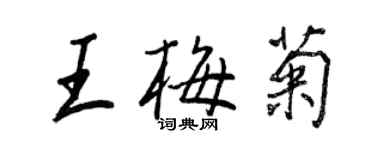 王正良王梅菊行書個性簽名怎么寫