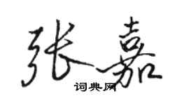 駱恆光張嘉行書個性簽名怎么寫