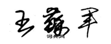 朱錫榮王蘇軍草書個性簽名怎么寫