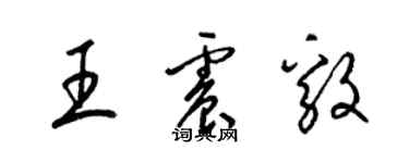 梁錦英王震毅草書個性簽名怎么寫