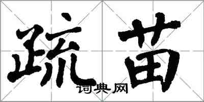 翁闓運疏苗楷書怎么寫