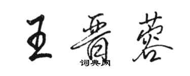 駱恆光王晉蓉行書個性簽名怎么寫