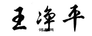 胡問遂王淨平行書個性簽名怎么寫