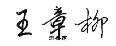駱恆光王章柳行書個性簽名怎么寫