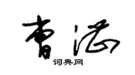 朱錫榮曹湛草書個性簽名怎么寫