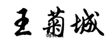 胡問遂王菊城行書個性簽名怎么寫