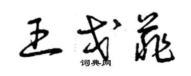 曾慶福王戈菲草書個性簽名怎么寫