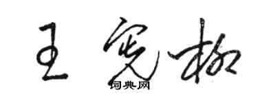 駱恆光王憲柳草書個性簽名怎么寫