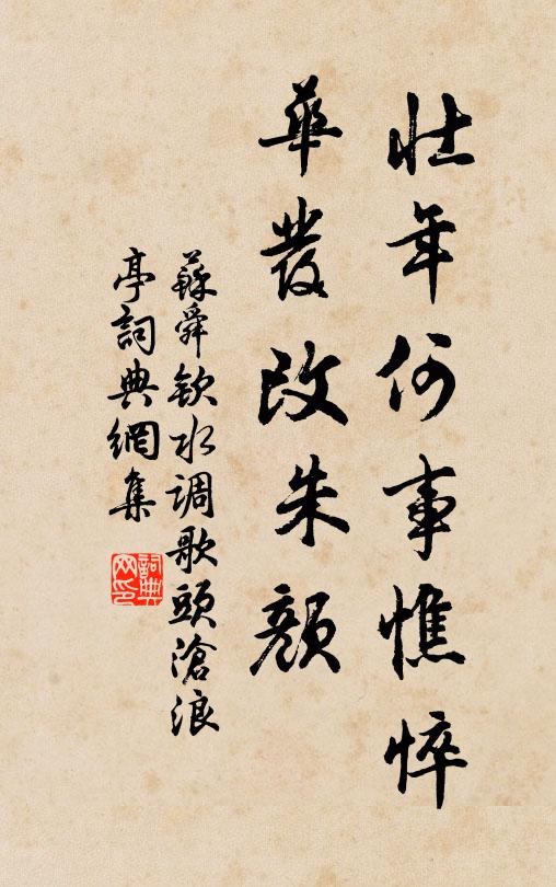蘇舜欽壯年何事憔悴,華發改朱顏。書法作品欣賞