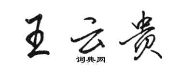 駱恆光王雲貴行書個性簽名怎么寫