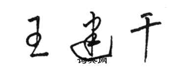 駱恆光王建乾草書個性簽名怎么寫