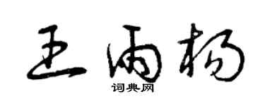 曾慶福王雨楊草書個性簽名怎么寫