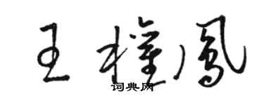 駱恆光王權鳳草書個性簽名怎么寫