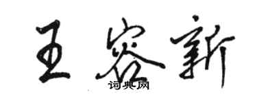 駱恆光王容新行書個性簽名怎么寫