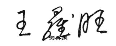 駱恆光王羅旺草書個性簽名怎么寫