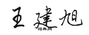 駱恆光王建旭行書個性簽名怎么寫
