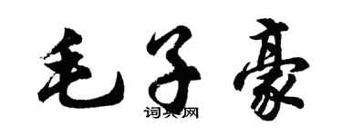 胡問遂毛子豪行書個性簽名怎么寫