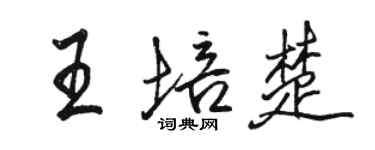 駱恆光王培楚行書個性簽名怎么寫