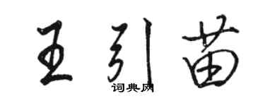 駱恆光王引苗行書個性簽名怎么寫