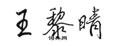 駱恆光王黎晴行書個性簽名怎么寫