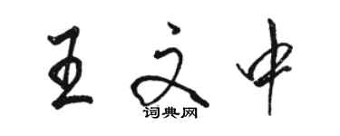 駱恆光王文中行書個性簽名怎么寫