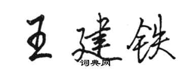 駱恆光王建鐵行書個性簽名怎么寫