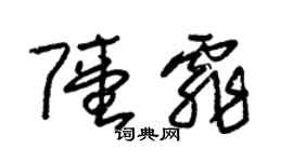 朱錫榮陸霏草書個性簽名怎么寫