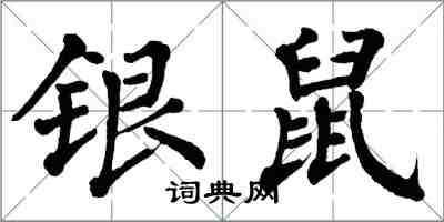 翁闓運銀鼠楷書怎么寫