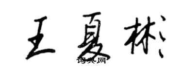 王正良王夏彬行書個性簽名怎么寫