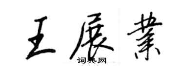 王正良王展業行書個性簽名怎么寫