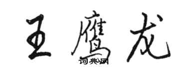 駱恆光王鷹龍行書個性簽名怎么寫