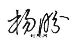 駱恆光楊盼草書個性簽名怎么寫