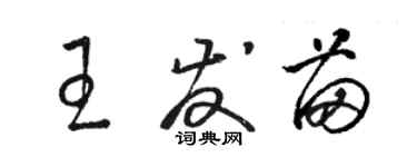 駱恆光王發苗草書個性簽名怎么寫