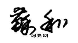 朱錫榮蘇和草書個性簽名怎么寫