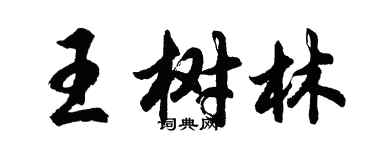 胡問遂王樹林行書個性簽名怎么寫