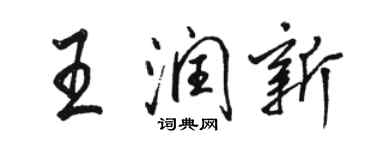 駱恆光王潤新行書個性簽名怎么寫