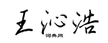 王正良王沁浩行書個性簽名怎么寫